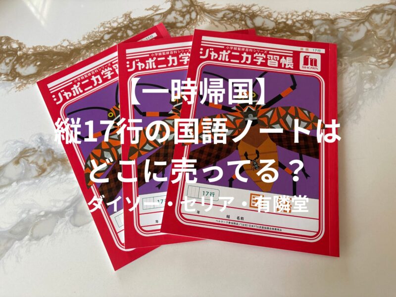 一時帰国中に購入した縦17行の国語ノート
