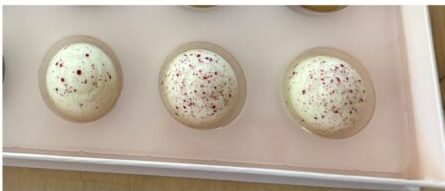 Ethel M ChocolatesのWhite Chocolate Vanilla Truffle